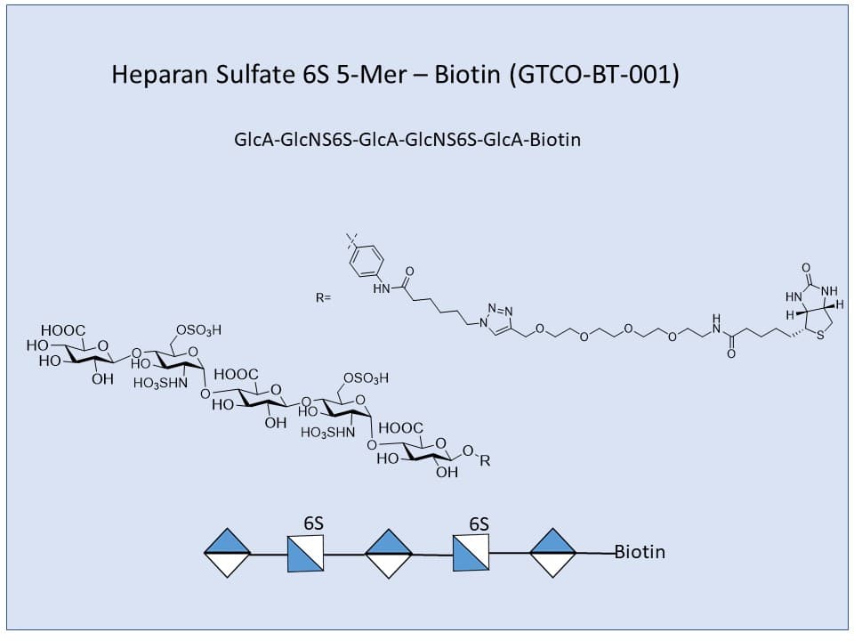 Heparan Sulfate 6S 5-Mer