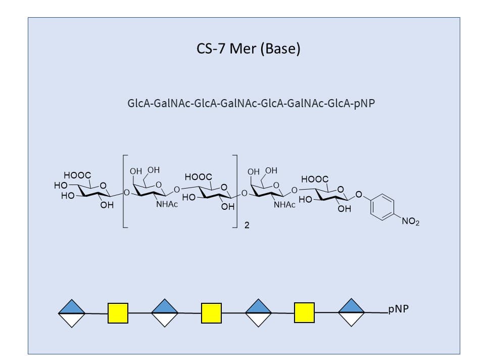 Chondroitin Sulfates, CS 7-Mer