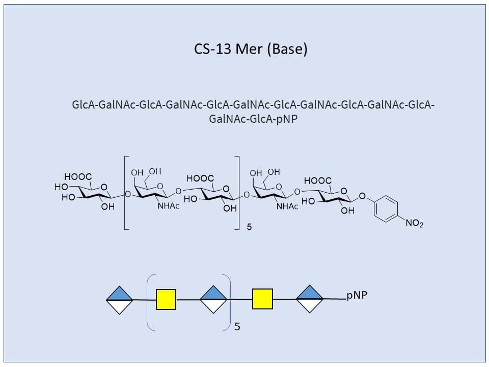 Chondroitin Sulfates, CS 13-Mer