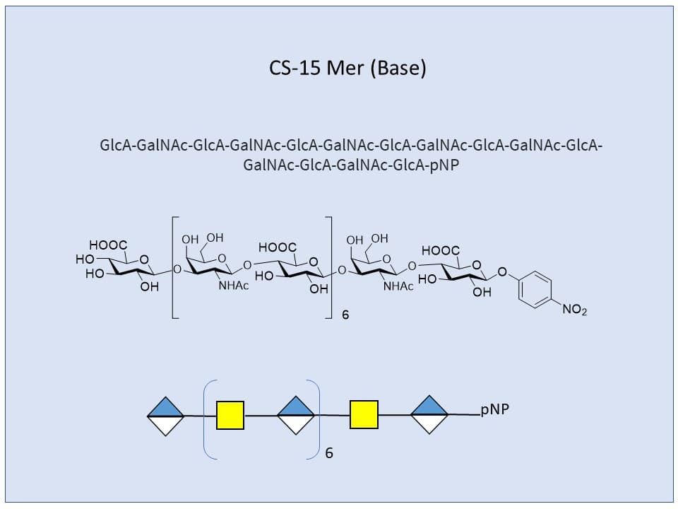 Chondroitin Sulfates, CS 15-Mer