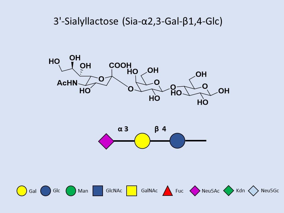 3'-Sialyllactose
