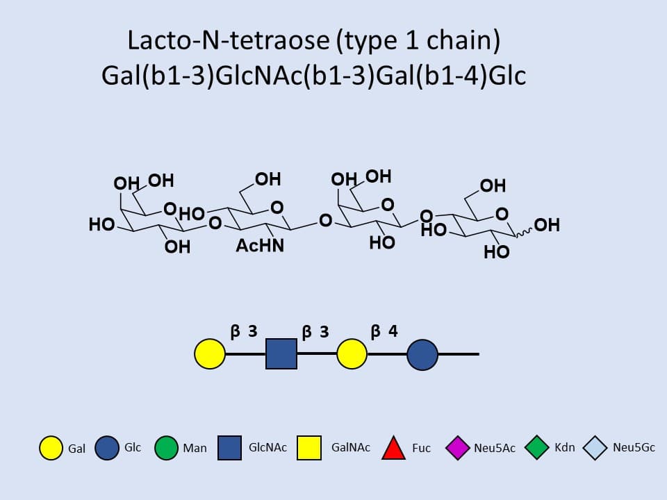 Lacto-N-tetraose (LNT)