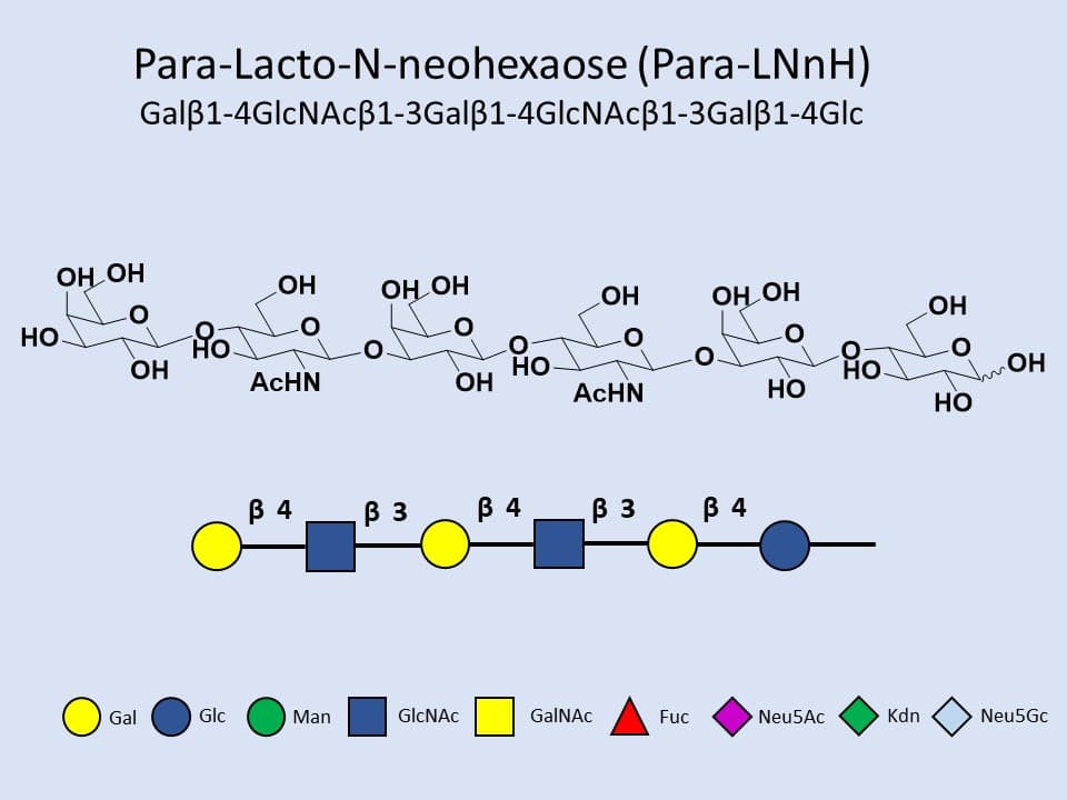 Para-Lacto-N-neohexaose (Para-LNnH)