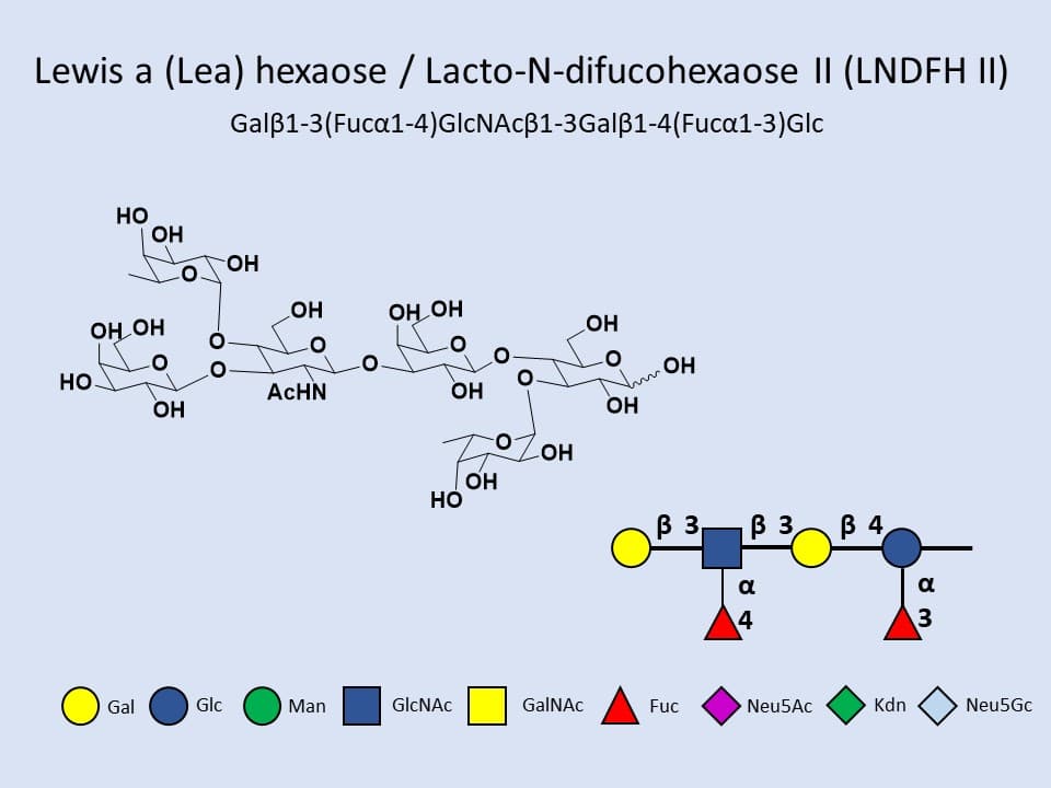Lewisa (Lea) hexaose / Lacto-N-difucohexaose II (LNDFH II)
