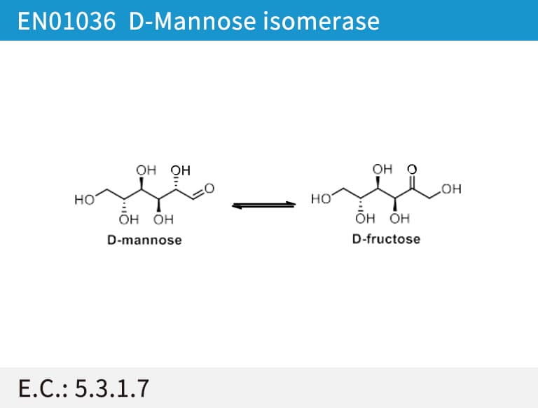 D-mannose isomerase