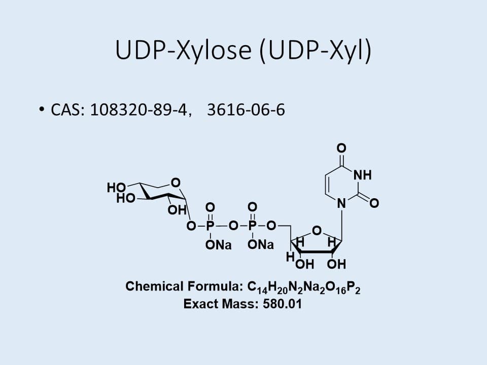 UDP-Xyl.2Na