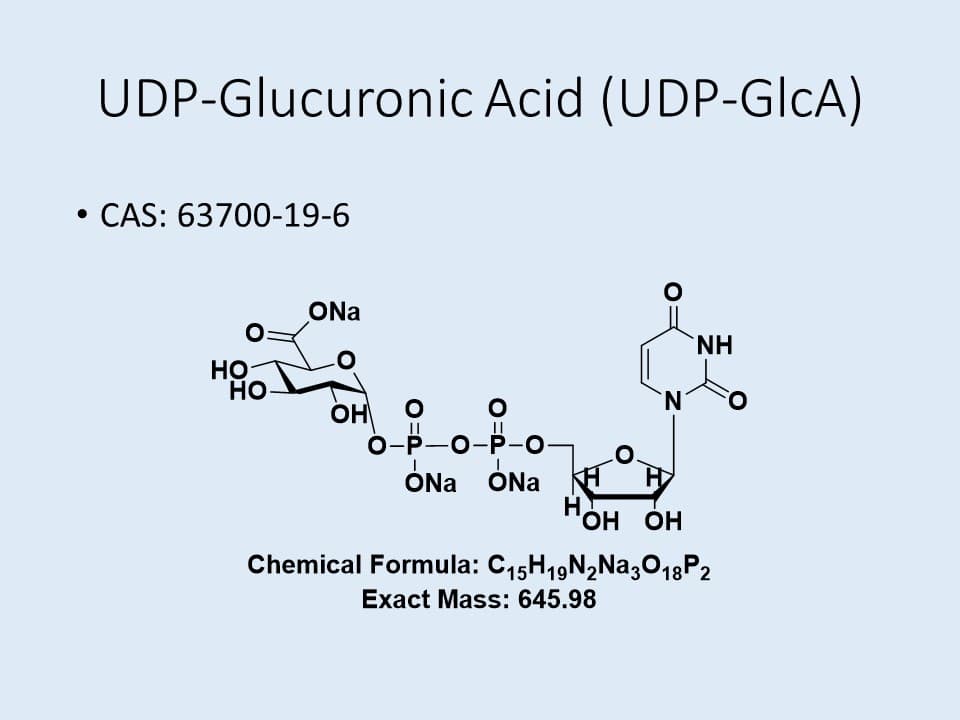 UDP-GlcA.3Na