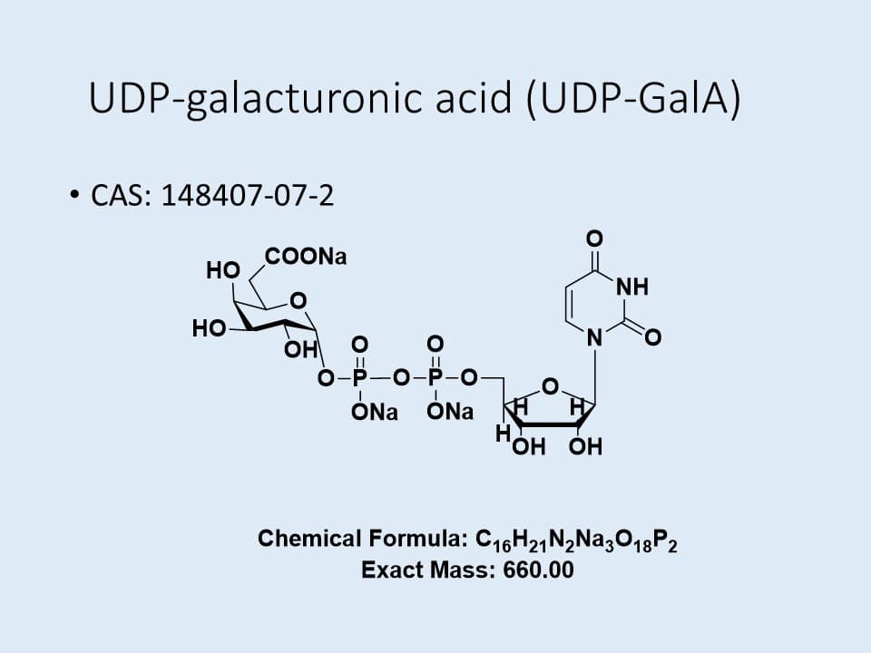 UDP-GalA.3Na