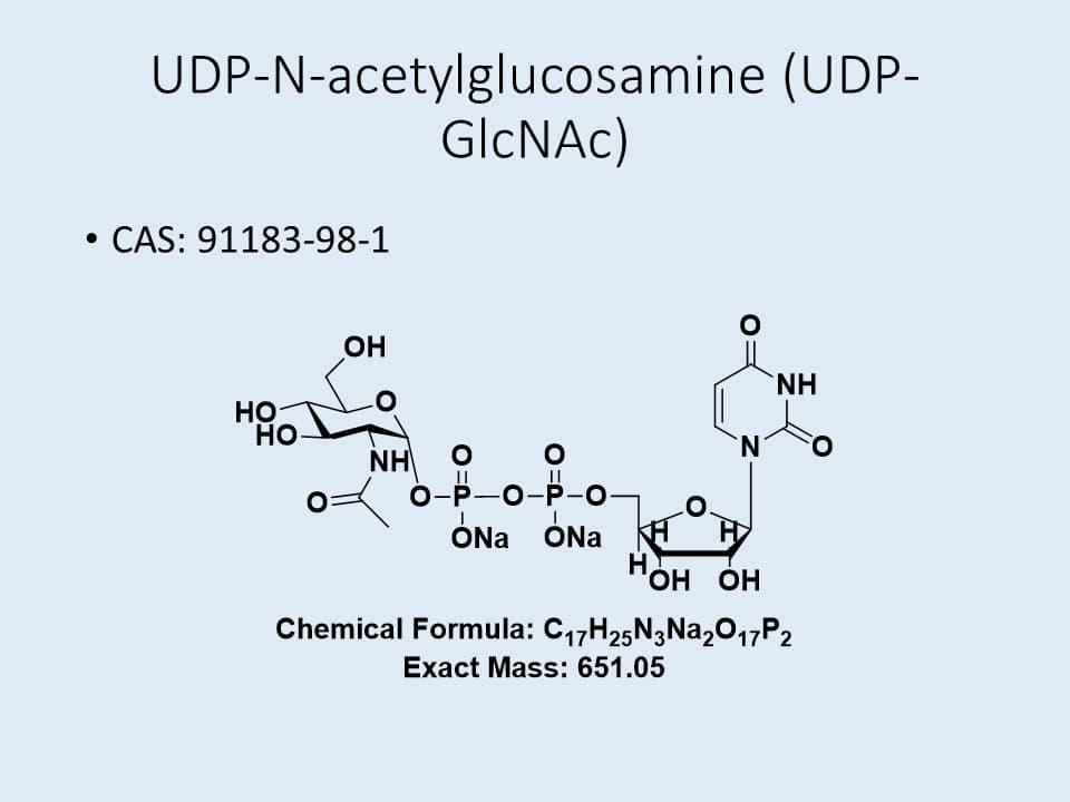 UDP-GlcNAc.2Na