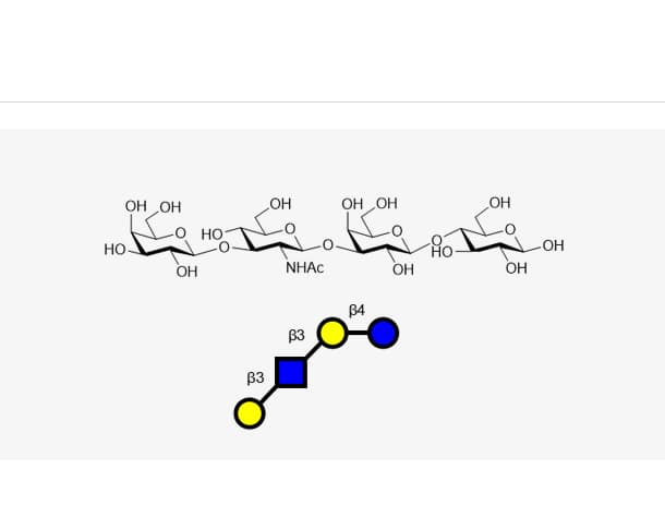 Lacto-N-tetraose (LNT)