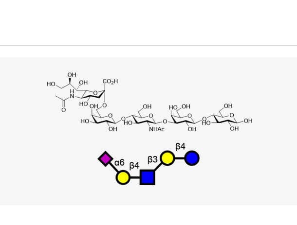 Lacto-N-sialyltetraose c (LSTc)