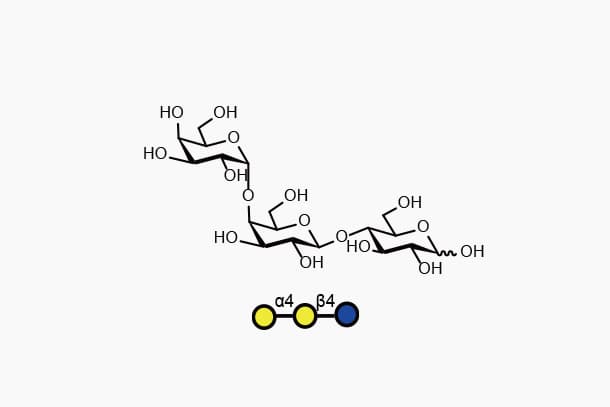 Galα1-4Galβ1-4Glc