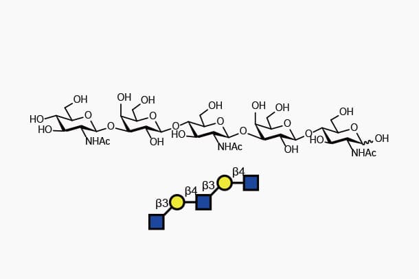 GlcNAcβ1-3Galβ1-4GlcNAcβ1-3Galβ1-4GlcNAc