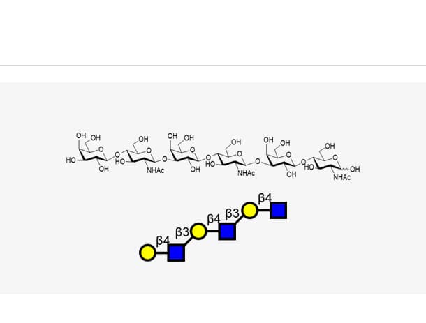 Galβ1-4GlcNAcβ1-3Galβ1-4GlcNAcβ1-3Galβ1-4GlcNAc