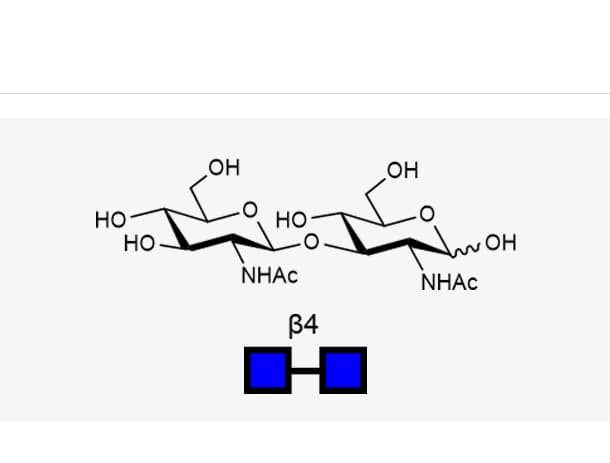 GlcNAcβ1-3(Neu5Acα2-6)Galβ1-4GlcNAc