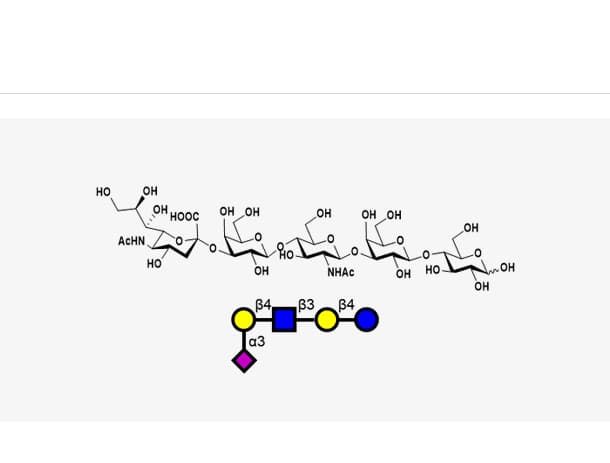 Sialyl-nLc4