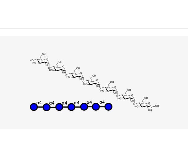 Maltoheptaose((Glca1, 4)6 Glc)