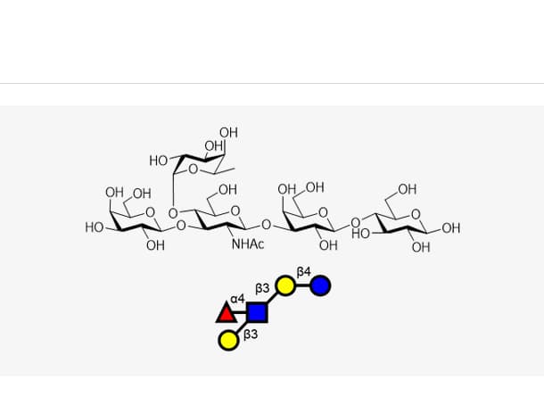 Lacto-N-fucopentaose II (LNFP II)