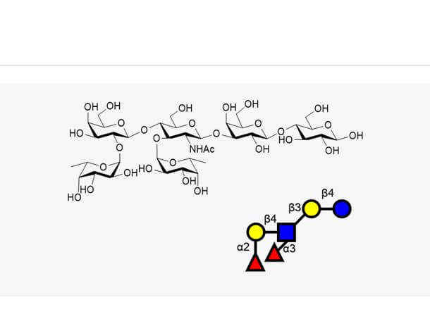 Lacto-N-neodifucohexaose I (LNnDFH I)