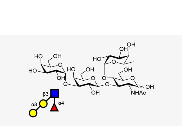 α-Gal Lewis A (Galα1-3GlcNAcβ1-3(Fucα1-4)GlcNAc)