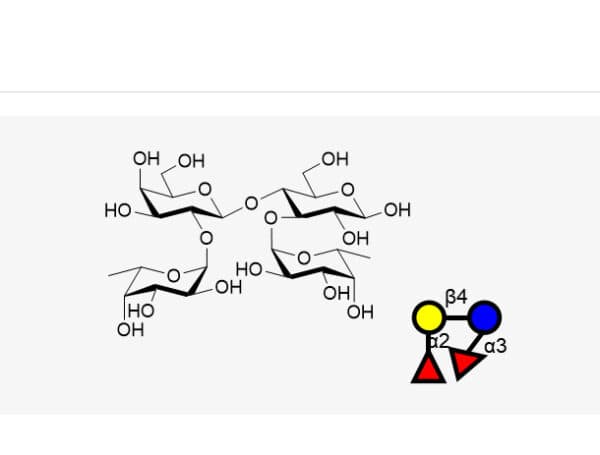 α-Gal Lewis X (Galα1-3Glcβ1-3(Fucα1-4)GlcNAc)