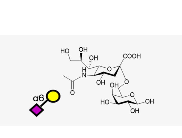 Neu5Aca2,3Galb1,4(Fuca1,3)(HSO4-6-)GlcNAc