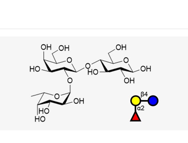 α2, 6-sialyltransferase (Pd26ST)