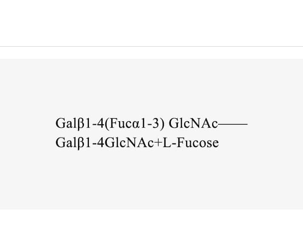 α1, 3-fucosyltransferase (α1, 3FucT)