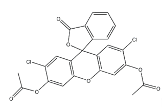 3, 5, 6-O-Tribenzyl-1, 2-O-isopropylidene-D-glucofuranose, CAS:53928-30-6