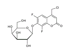 Di-O-cyclohexylidene-a-D-ribohexofuranos-3-ulose, CAS:22595-92-2