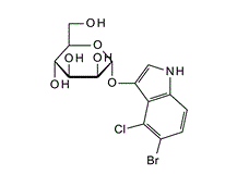 GM2-Ganglioside, MonosialogangliosideGM2