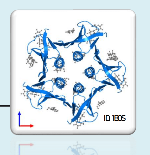 Shiga Toxin 1, B subunit - STxB (Copy)