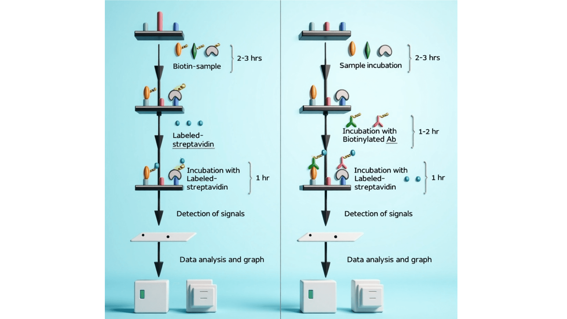 Glycan Array 300