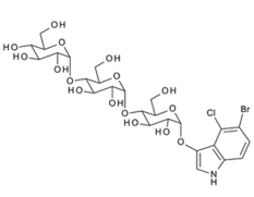 5-Bromo-4-chloro-3-indolyla-D-maltotrioside,X-a-D-Maltotriose