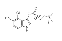 5-Bromo-4-chloro-3-indoxylcholinephosphate,X-Phos-choline