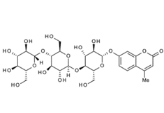 4-Methylumbelliferylb-D-cellotrioside,MUC