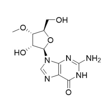 3?-O-Methylguanoside