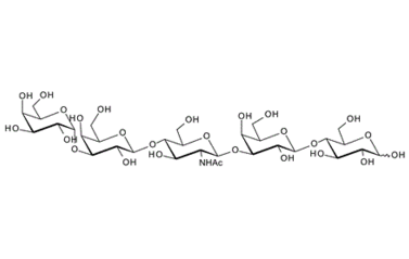 Gala1-3Galb1-4GlcNAcb1-3Galb1-4Glc , a-Gal epitope type III