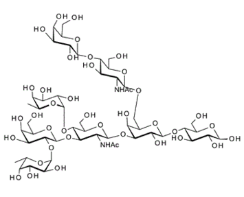 Difucosyllacto-N-hexaose (c) , DFLNH (c); Lewis b octasaccharide branched