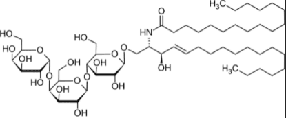 Globotriaosylceramide