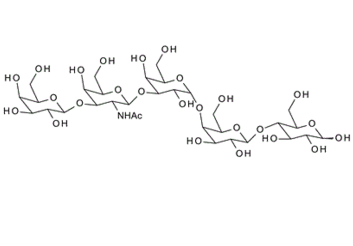 Globopentaose , Gal-b-1, 3-GalNAc-b-1, 3-Gal-a-1