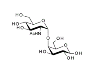 4-O-(2-Acetamido-2-deoxy-a-D-glucopyranosyl)-D-galactopyranose,