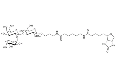 Fuca1-2Galb1-4GlcNAc-b-1-O(CH2)3NHCO(CH2)5NH-biotin ; Blood Group H type II trisaccharide, spacer-biotin conjugate