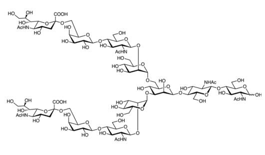 A2 N-Glycan ; A2G2S2 N-glycan