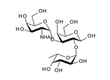 GalNAc-a-1, 3-(Fuc-a-1, 2)Gal-b1-O-(CH2)8CONH(CH2)2NH2; Blood Group A trisaccharide amine derivative