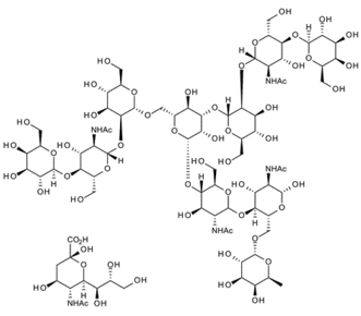 A1F N-Glycan ; FA2G2S1 Glycan