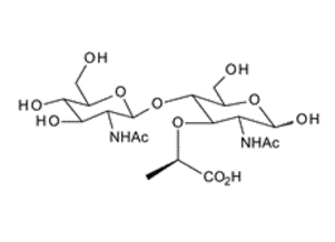 2-Acetamido-4-O-(2-acetamido-2-deoxy-b-D-glucopyranosyl)-2-deoxy-D-muramic acid