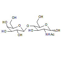 Acetyl-D-lactosamine , Cas:77304-67-7