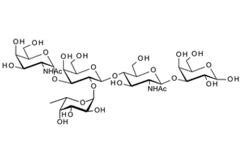 GalNAca-3(Fuca-2)Galb-4GlcNAcb-3Gal; A antigen pentaose type II ; Blood group A pentasaccharide type II