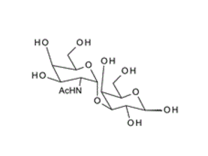 a-D-N-Acetylgalactosaminyl 1, 3 galactose; GalNAc-a1, 3-Gal ; 3-O-(2-Acetamido-2-deoxy-a-D-galactopyranosyl)-D-galactopyranose